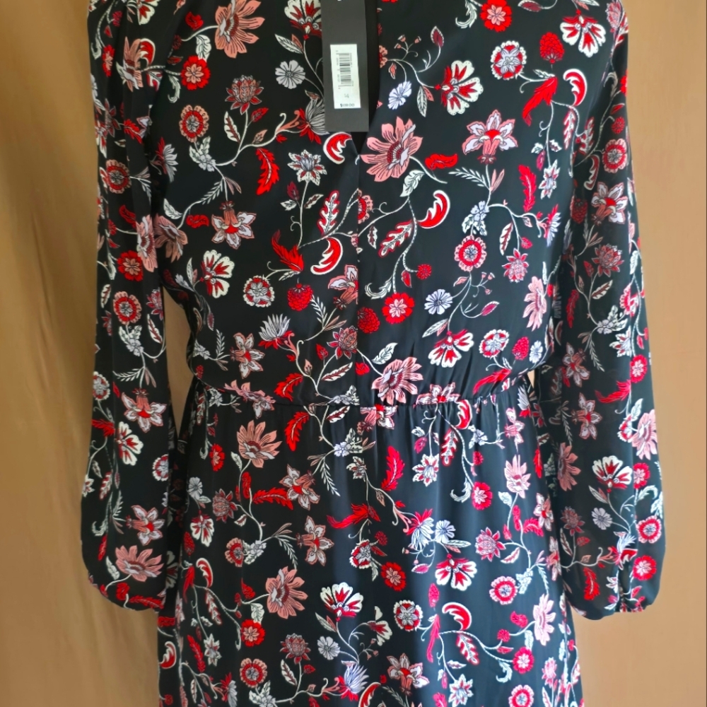 Banana Republic Floral Black and Red Dress